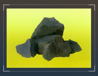 首页|尊龙人生就是博官网入口