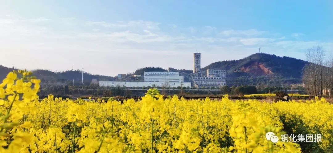 首页|尊龙人生就是博官网入口