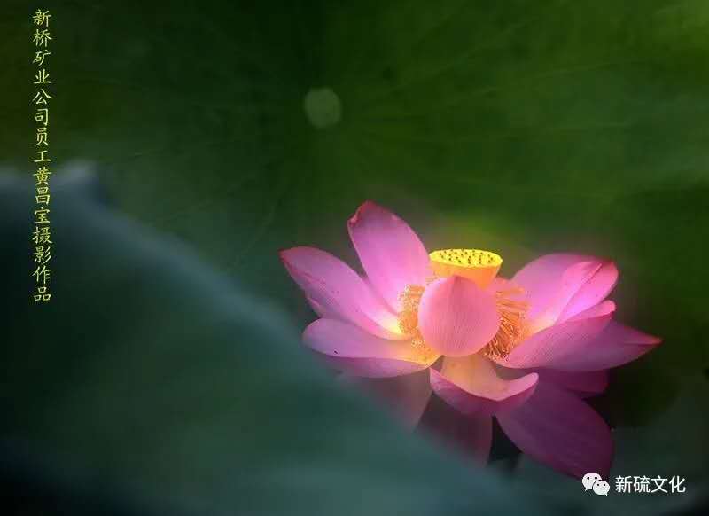 首页|尊龙人生就是博官网入口