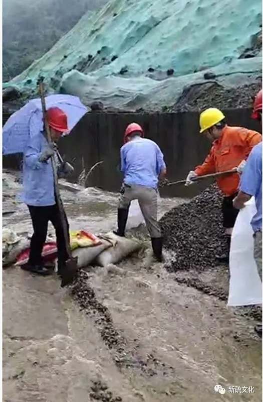 首页|尊龙人生就是博官网入口