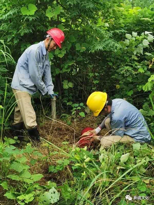 首页|尊龙人生就是博官网入口